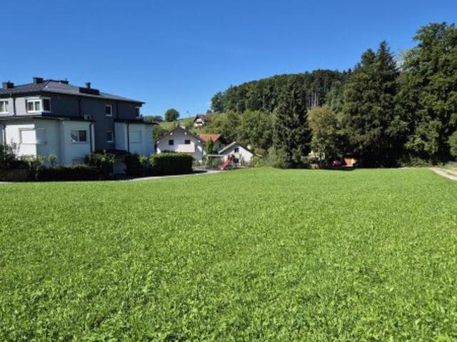 Wohnung kaufen in Hallwang, Salzburg