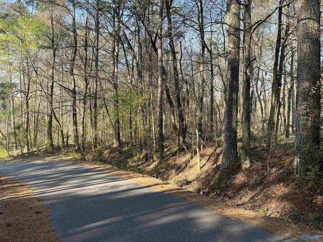 Land for sale in Etowah, Alabama