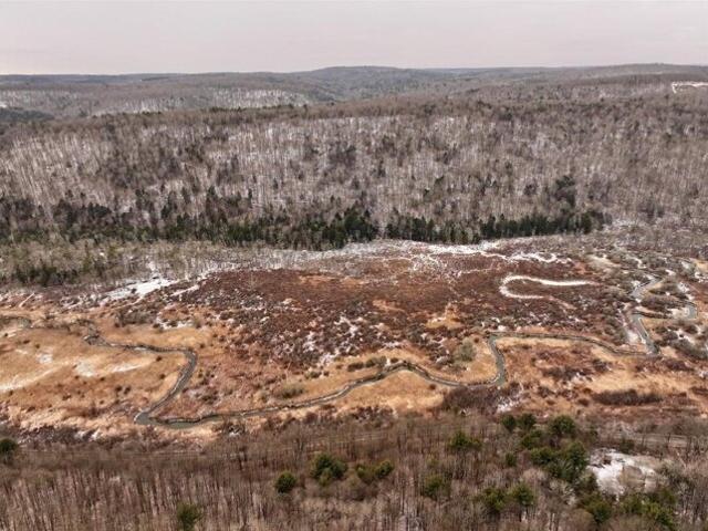 Land for sale in Spencer, New York