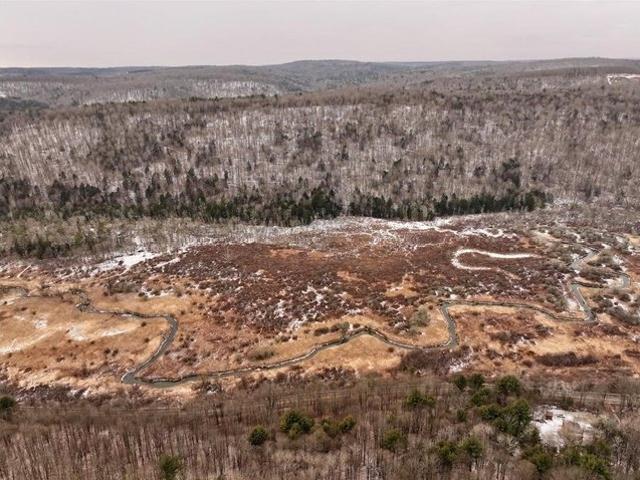 Farm for sale in Spencer, New York