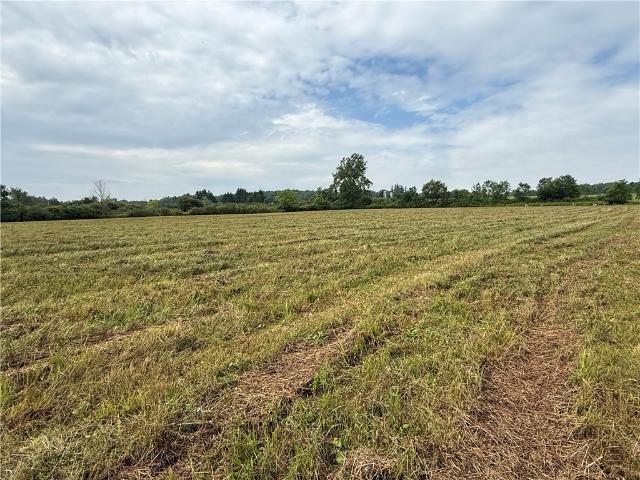 Land for sale in Trumansburg, New York