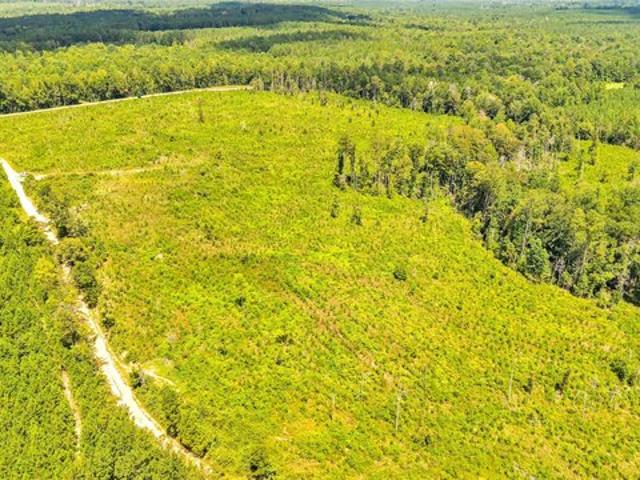 Farm for sale in Greenville, Alabama