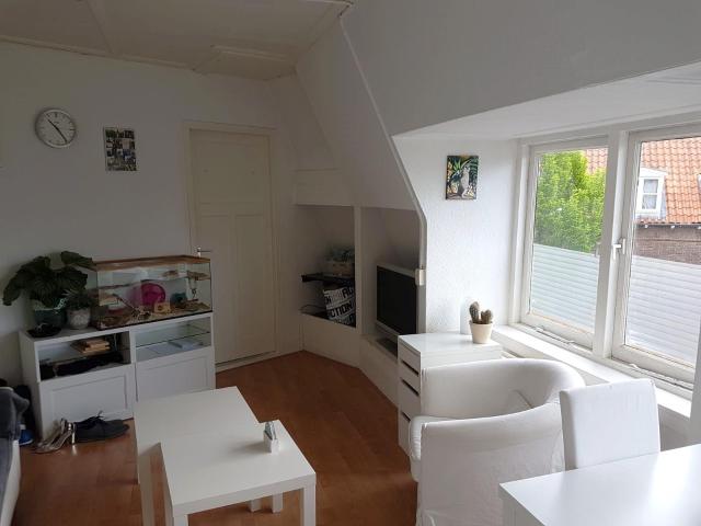 Appartement te huur in Zandweerd, Deventer