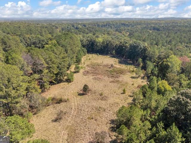 Land for sale in Union Point, Greene County