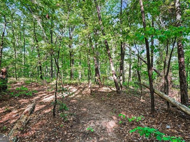 Land for sale in Jackson, Georgia
