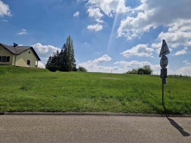 Terrain vente à Sarreguemines, Hambach