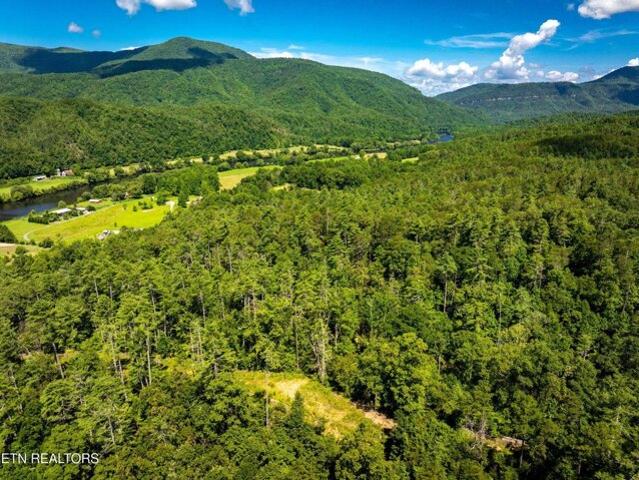 Land for sale in Reliance Land for sale in Reliance