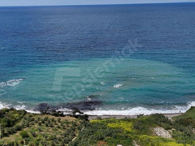 Hasseki Mahallesi, Karaburun içerisinde satılık mülk