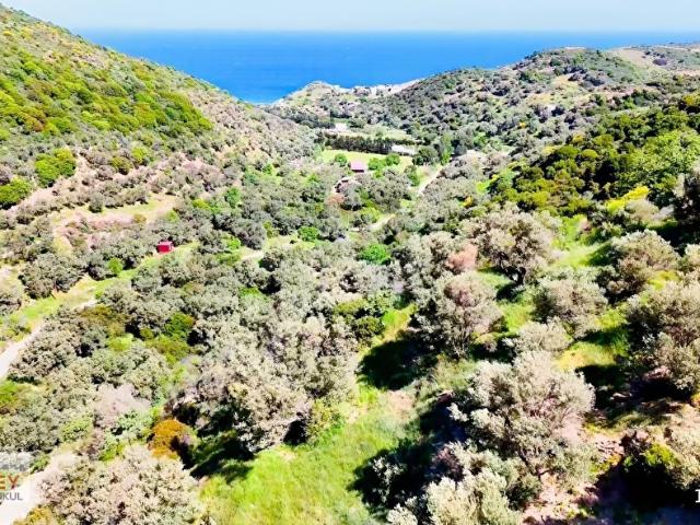 Karaburun, İzmir içerisinde satılık mülk