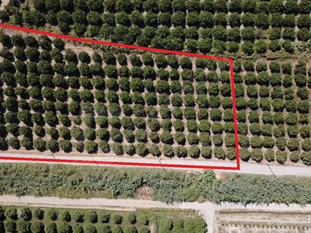 Köyceğiz, Muğla içerisinde satılık Arsa