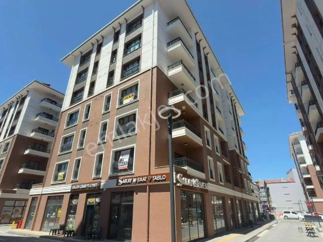 Hamidiye Mahallesi, Aksaray Merkez içerisinde kiralık mülk