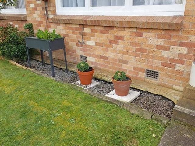Apartment for rent in Hamilton East, Hamilton City