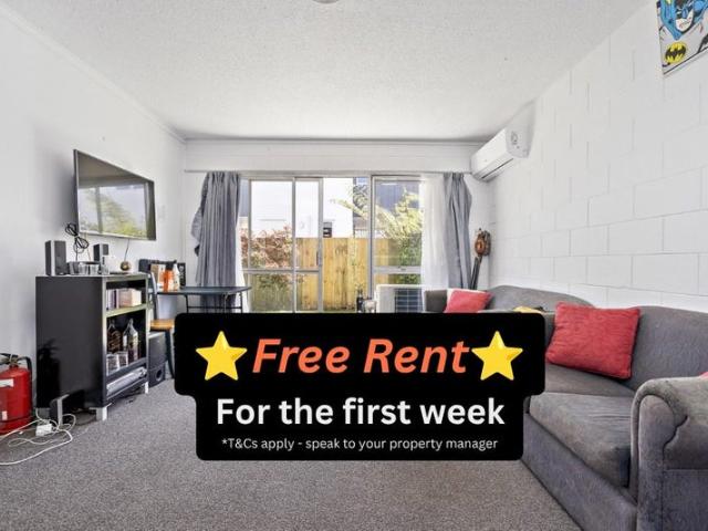Apartment for rent in Knighton, Hamilton City