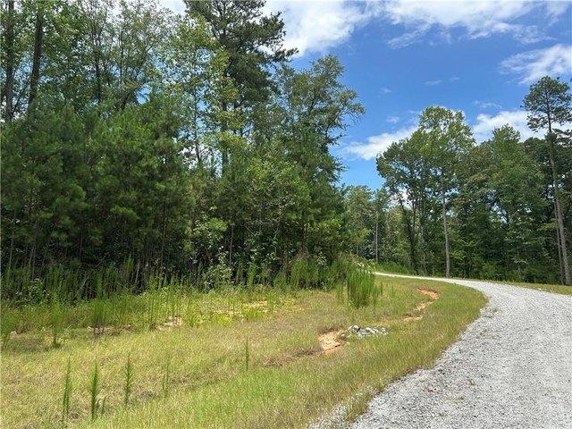 Land for sale in Georgia