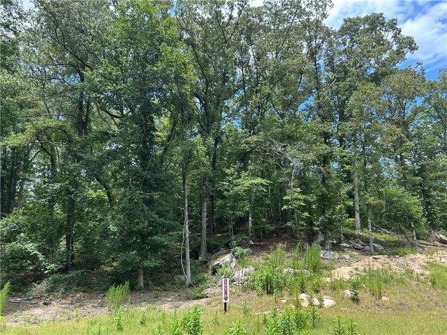 Land for sale in Georgia