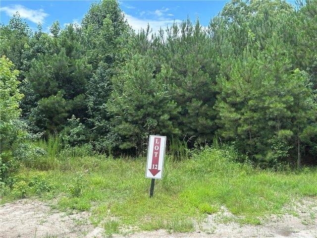 Land for sale in Georgia