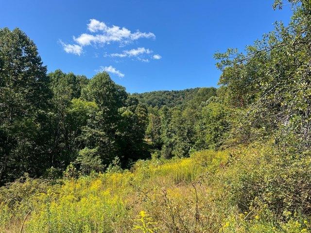 Land for sale in Alderson, West Virginia