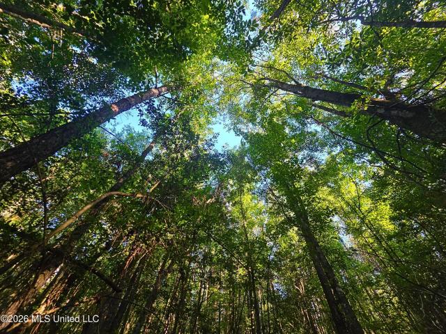 Land for sale in Prentiss, Mississippi