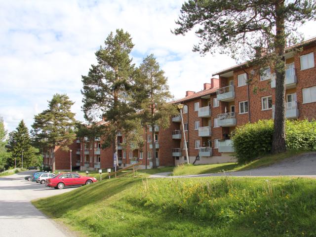 Lägenhet hyra i Västernorrland