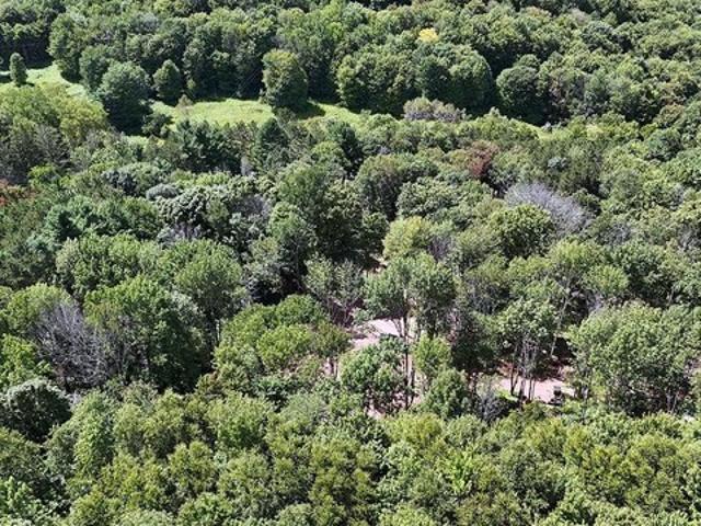 Land for sale in New York