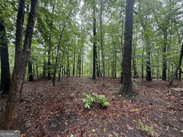 Land for sale in Toccoa, Georgia