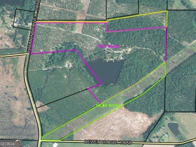 Land for sale in Hazlehurst, Georgia