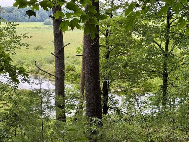Land for sale in New York