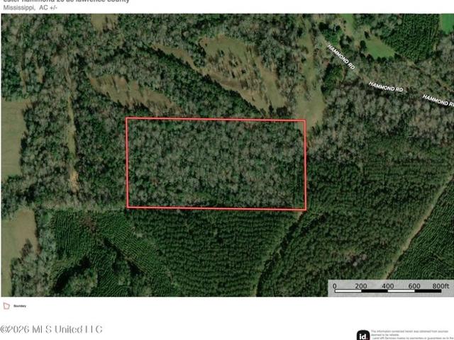 Land for sale in Monticello, Mississippi