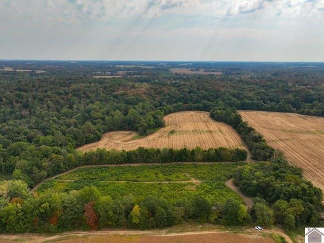 Farm for sale in Murray, Kentucky