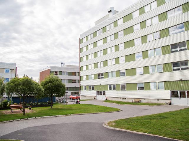 Hus hyra i Piteå, Norrbotten