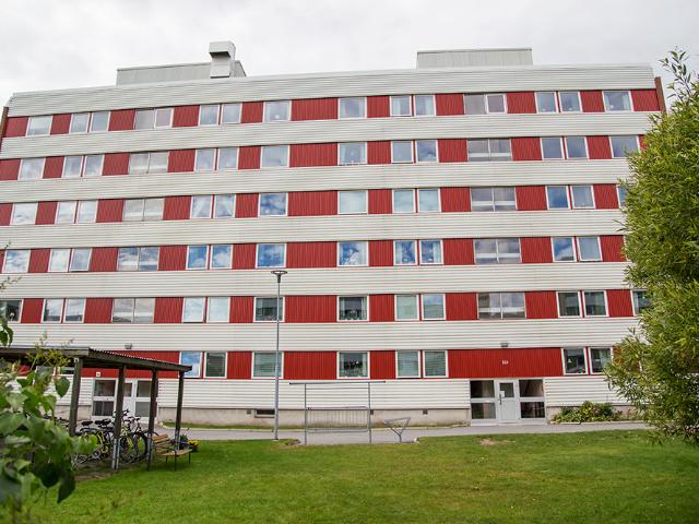 Hus hyra i Piteå, Norrbotten