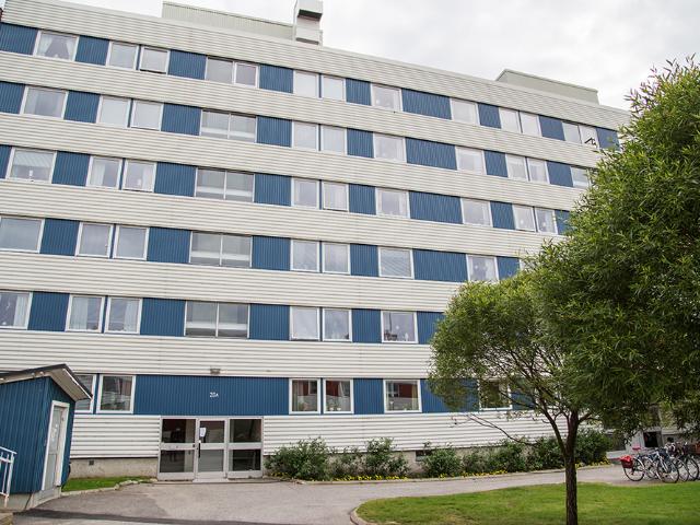 Hus hyra i Piteå, Norrbotten