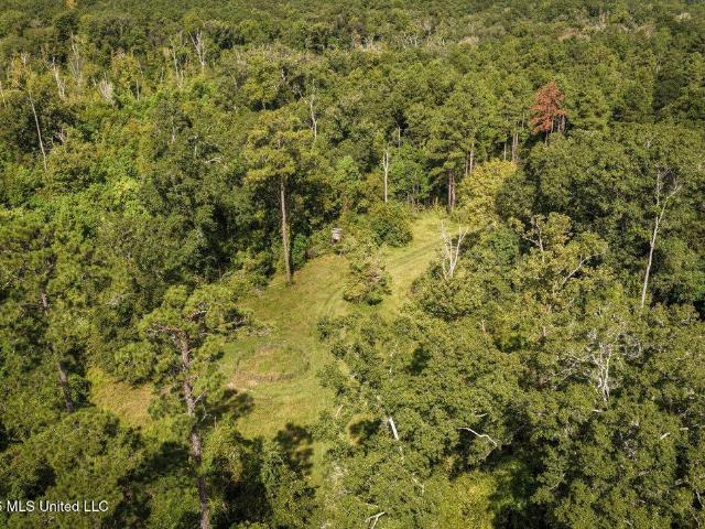 Land for sale in Magnolia, Mississippi