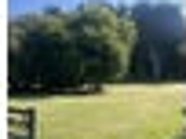 Land for sale in Otakou