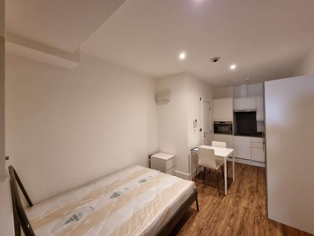 Studio for rent in Harringay Ladder, Greater London