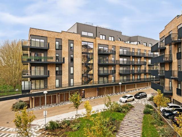 Apartment for rent in South Ashford, Bridgefield