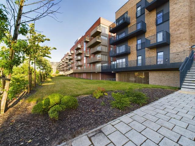 Apartment for rent in South Ashford, Bridgefield