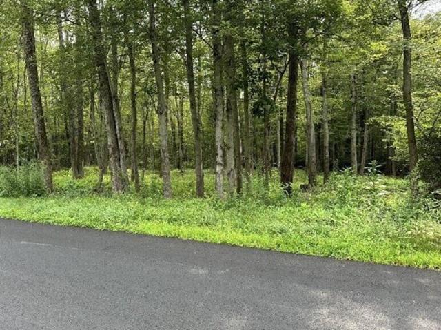Land for sale in Pomfret, Connecticut
