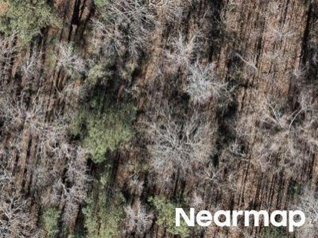 Land for sale in Macon, Georgia