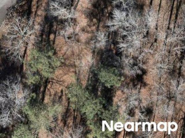 Property for sale in Macon, Georgia