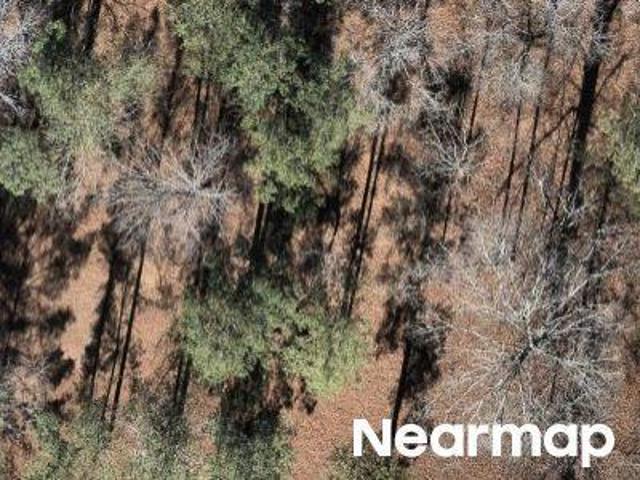 Property for sale in Macon, Georgia
