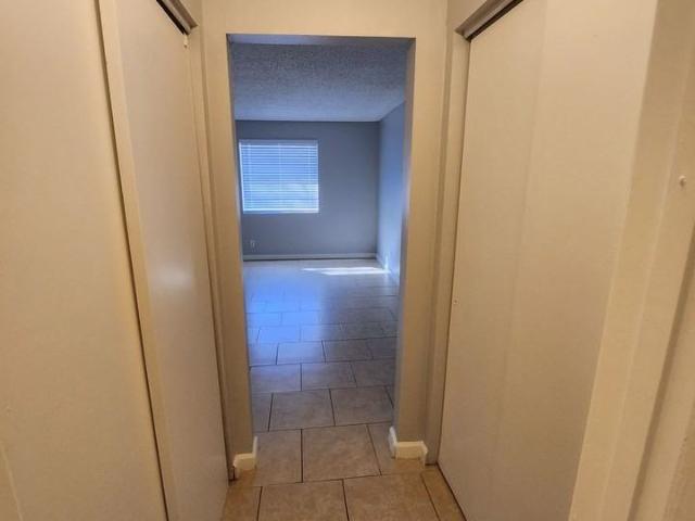 Apartment for rent in Brandon, Florida