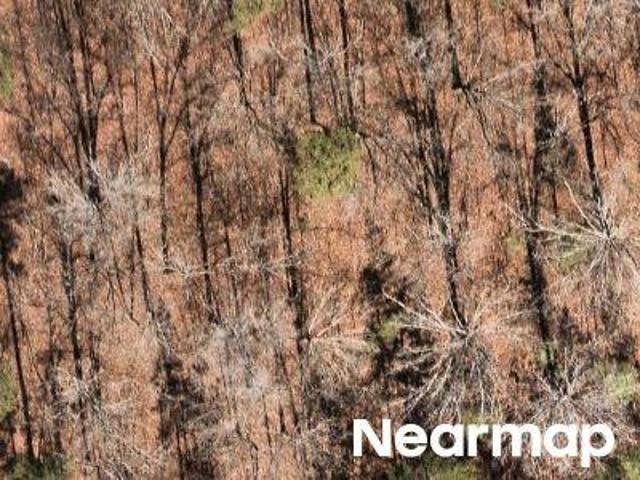Property for sale in Lindale, Georgia