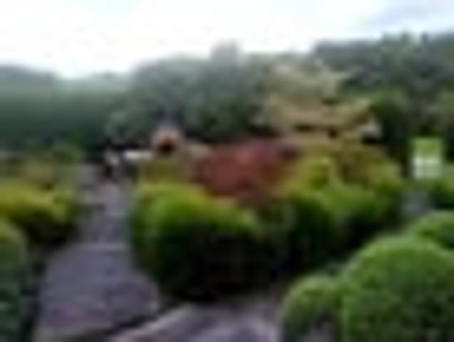 Apartment for rent in Bay Of Plenty