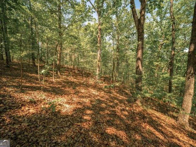 Land for sale in Waleska, Georgia