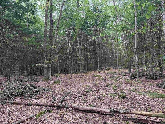 Land for sale in New Hampshire