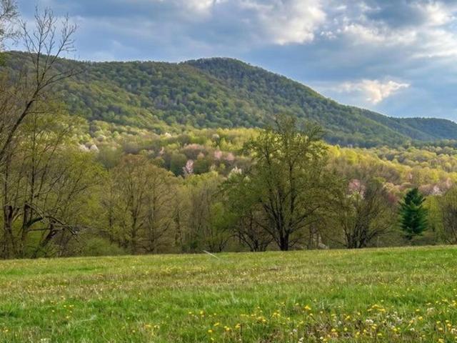Land for sale in Berkshire, Massachusetts