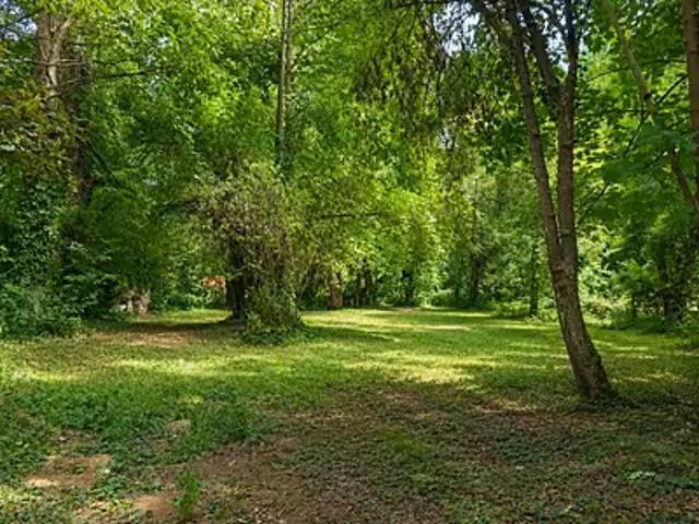 Terrain vente à Handschuheim, Collectivité européenne d'Alsace