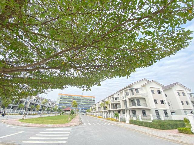 Biệt Thự bán