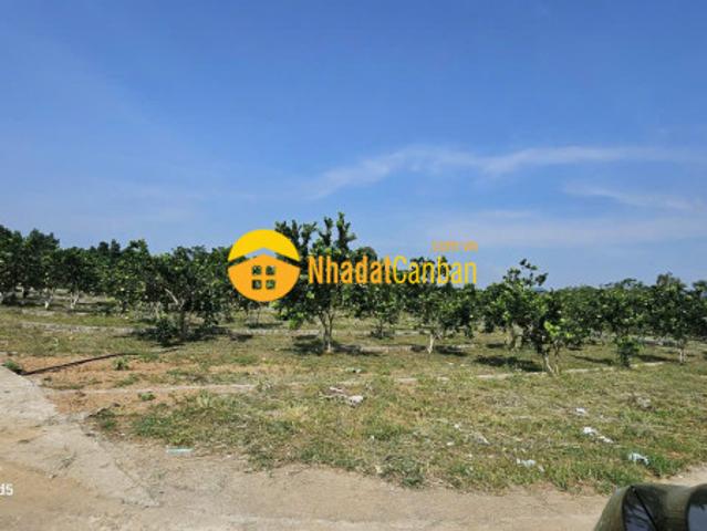 Mặt bằng bán